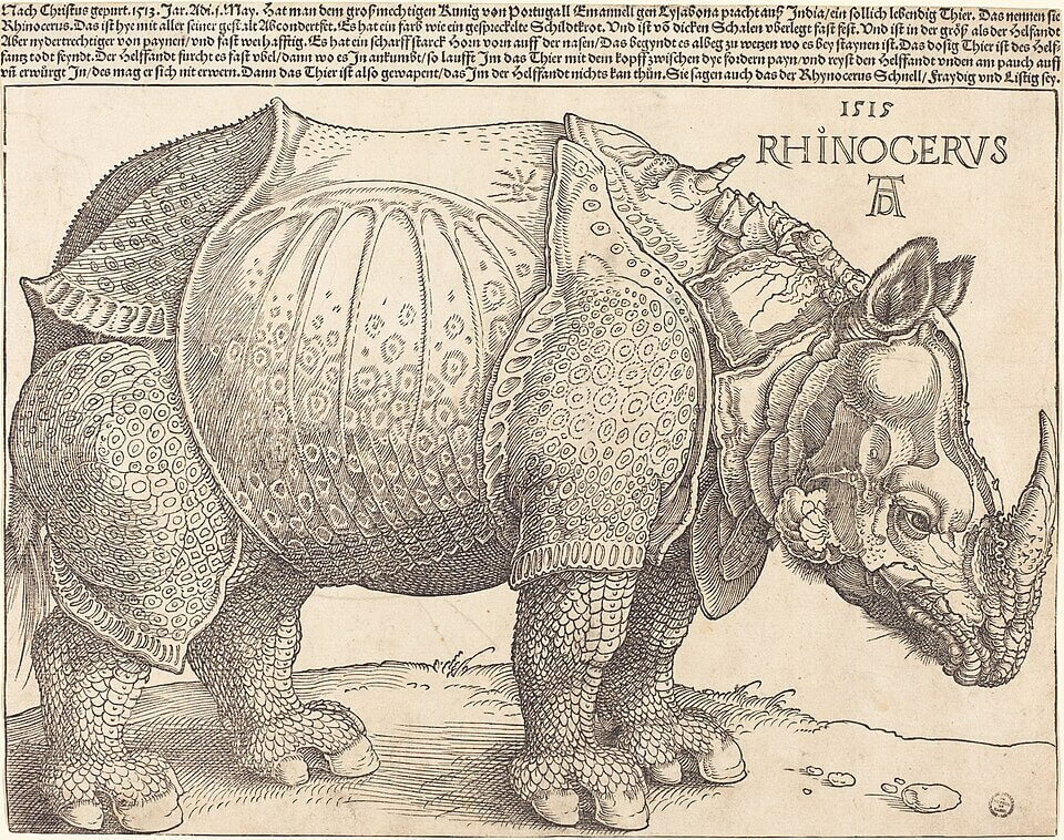 알브레히트 뒤러, 코뿔소(Rhinoceros), 1515, 목판화, 대영박물관·메트로폴리탄·워싱턴 내셔널 갤러리 등 다수 소장